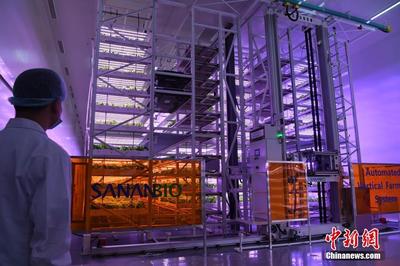 走進智能植物工廠 無土無陽光如何借數(shù)據(jù)處理培育美味佳肴